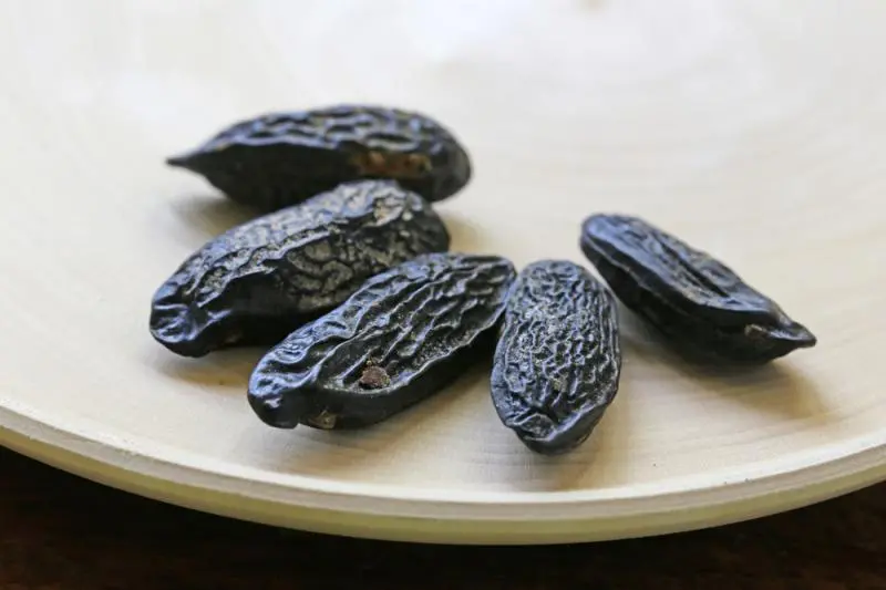 Fasola tonka – egzotyczna przyprawa z Ameryki Południowej